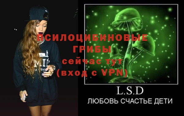 мяу мяу мука Алзамай