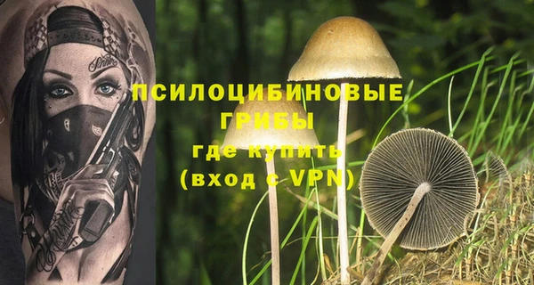 стафф Алексеевка