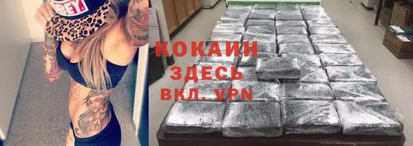 мяу мяу мука Алзамай
