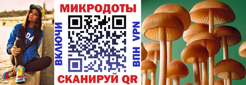 Псилоцибиновые грибы Psilocybine cubensis Октябрьск